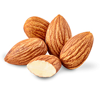 Almond (Nuts)