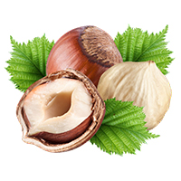Hazelnut (Nuts)