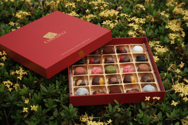 CHOCOELF Chocolate Gift Box