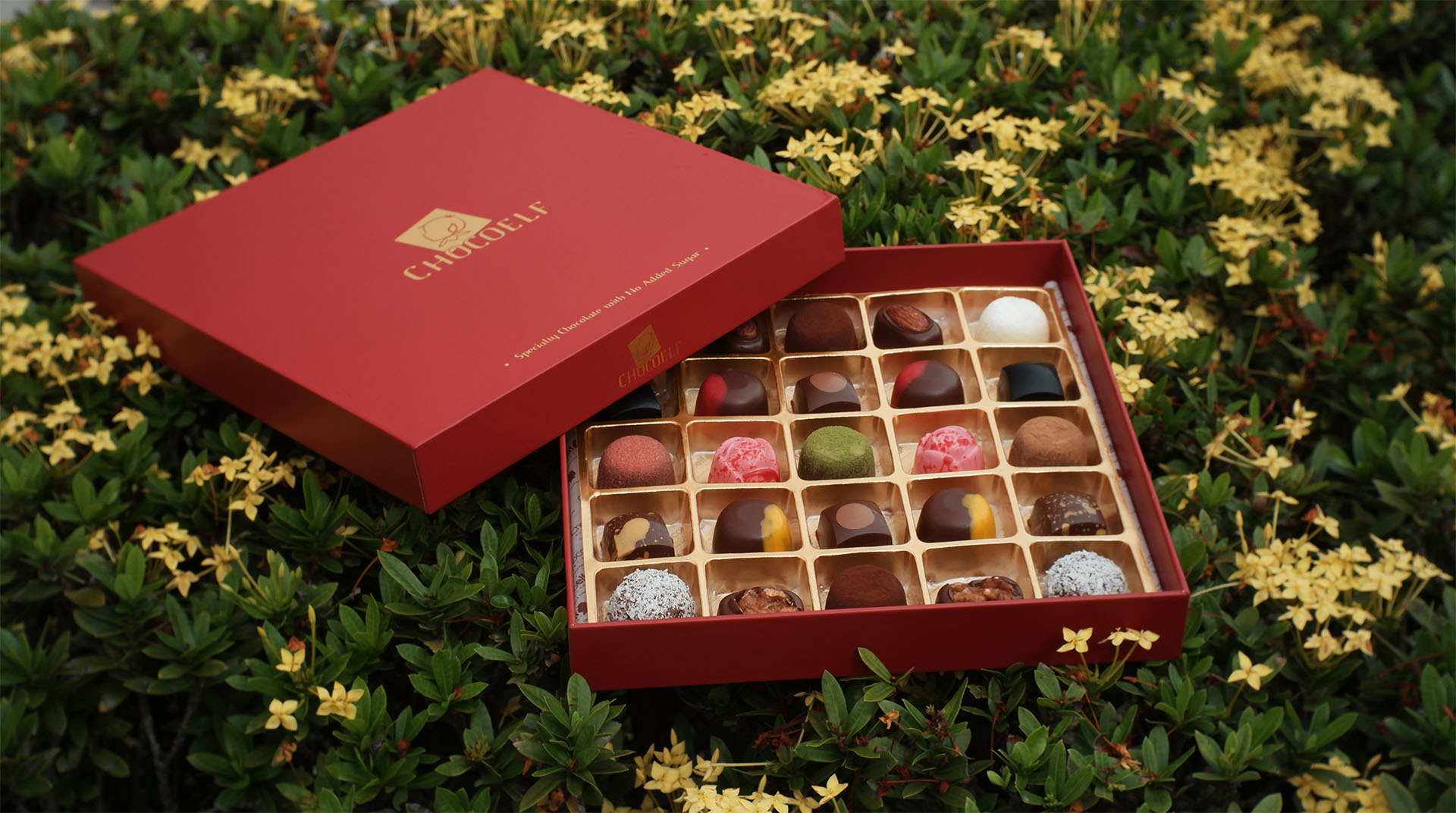 CHOCOELF Chocolate Gift Box